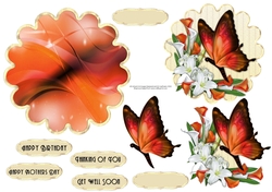 Orange Butterfly Scallop