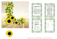 Sunflowers Thinking of You