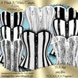 8 Black and White Corsets