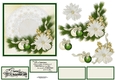 White Pointsettia Christmas Doily