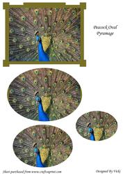 Oval Peacock Pyramage