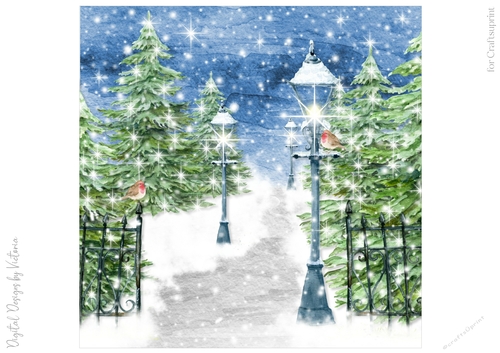 Snow Covered Park No.14