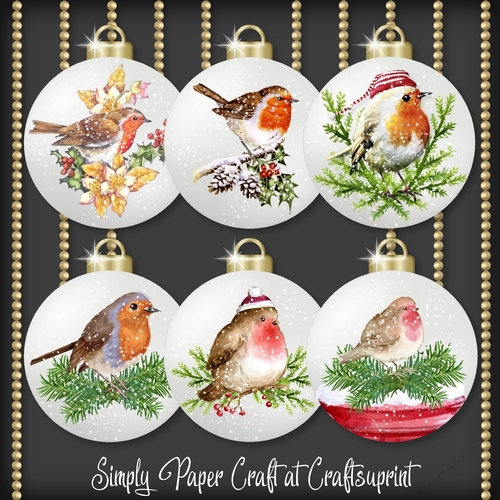 Robin Bauble 2