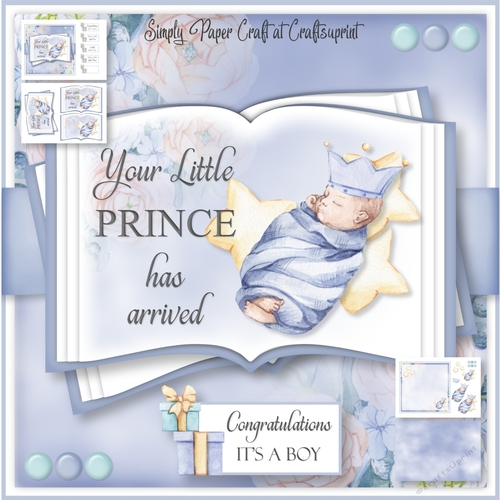Little Prince Arrival