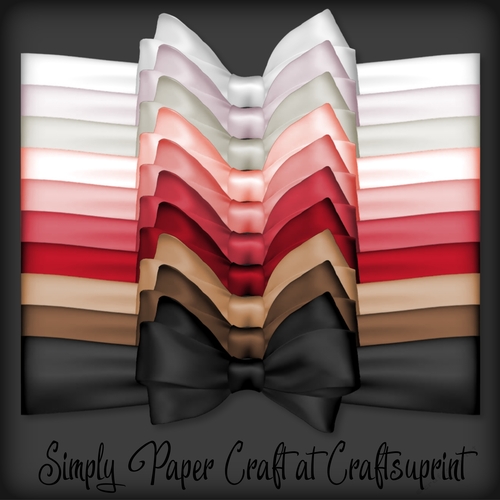 Winter Berries Bow Wrap PNG