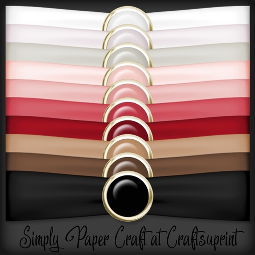 Winter Berries Ribbon Wrap 2