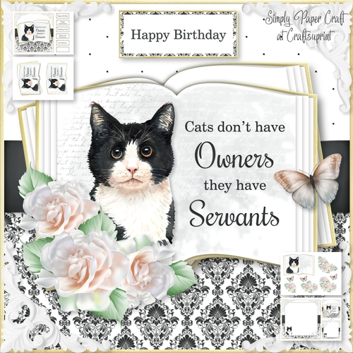 Cats have Servants 1