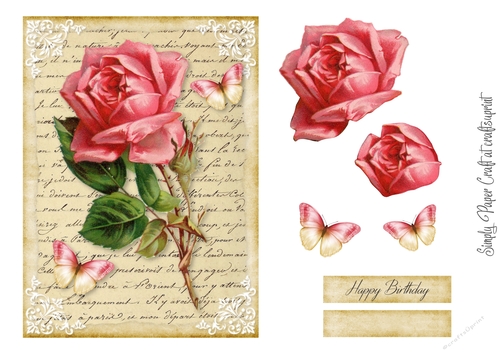 Single Rose 1
