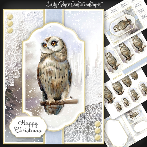 Owl Christmas and Birthday 1