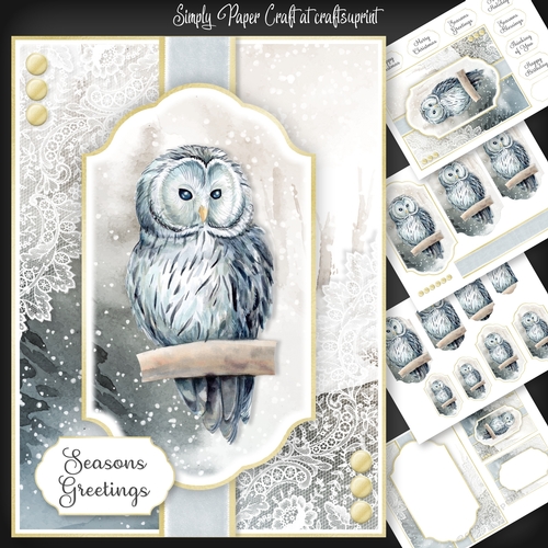 Owl Christmas and Birthday 2
