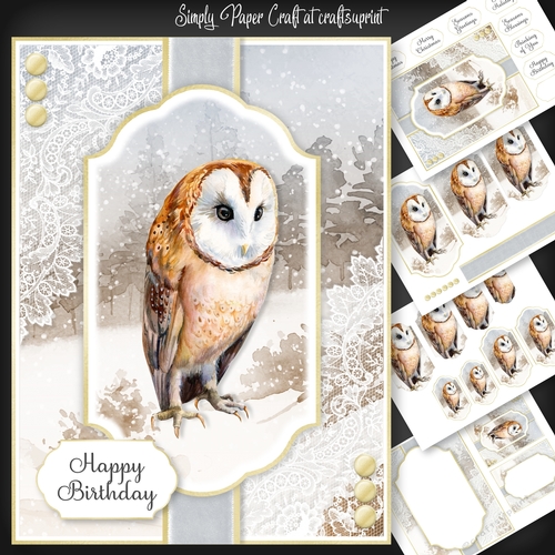 Owl Christmas and Birthday 3