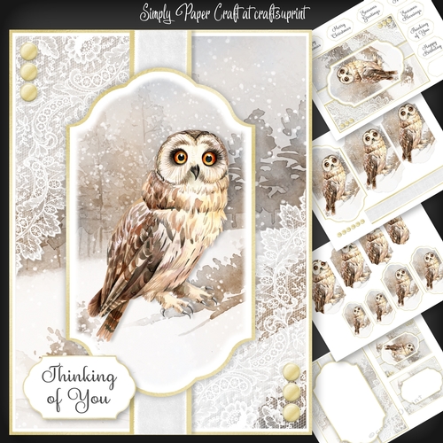 Owl Christmas and Birthday 4
