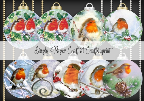 Robin Bauble 3