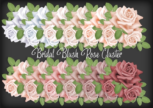 Bridal Blush Rose Cluster