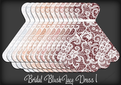Bridal Blush Lace Dress 1