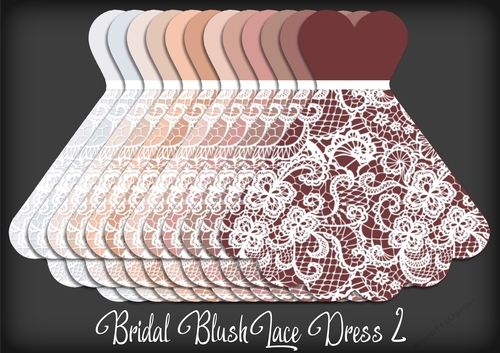 Bridal Blush Lace Dress 2