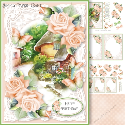 Lace and Roses 13