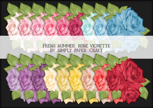 Fresh Summer Rose Vignette PNG