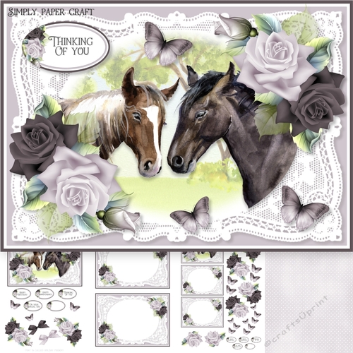 Lace and Roses 51