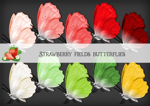 Strawberry Fields Butterfly