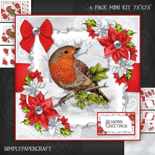 Robin and Poinsettias 7