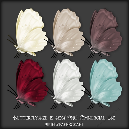 Cherry Cupcake Butterfly PNG