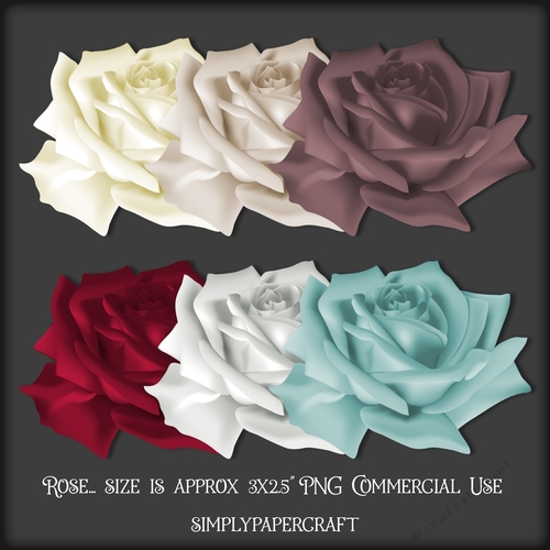 Cherry Cupcake Rose PNG