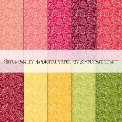 Citrus Paisley A4 Digital Paper