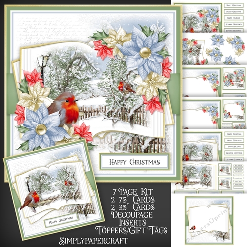 A Winter Story Robin Open Book Mini Kit