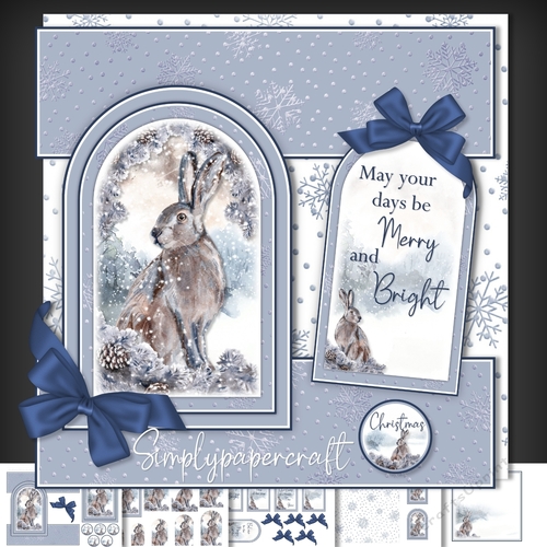 Hare Rabbit Tent Fold Window Card Front Mini Kit