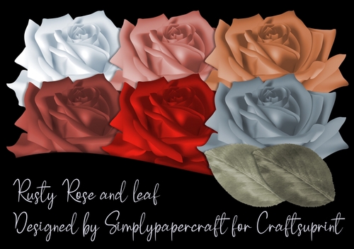 Rusty Rose and Leaf PNG
