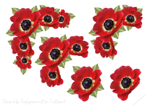 Poppy Vignette Step by Step 