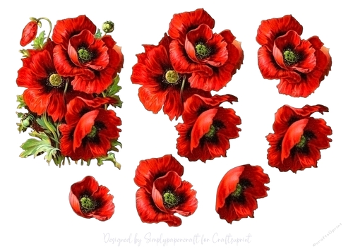 Vintage poppy Step by Step 