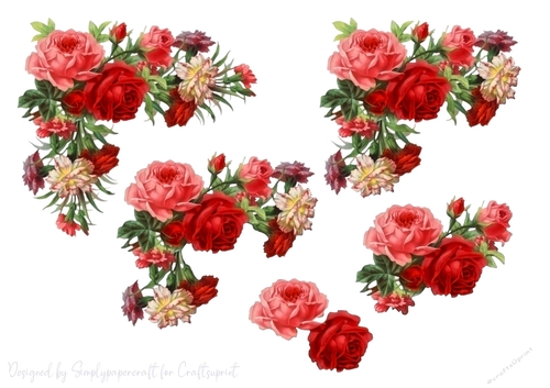 Rose and Carnation Step by Step 