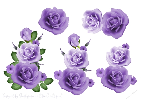 Rose Cluster Step by Step 5