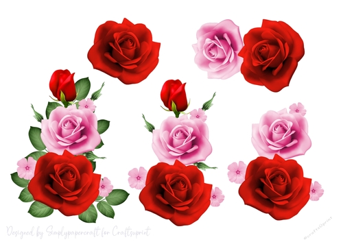 Rose Cluster Step by Step 6
