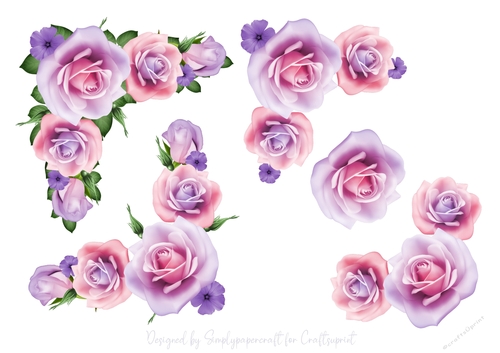 Rose Vignette Step by Step 2