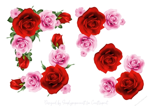Rose Vignette Step by Step 6