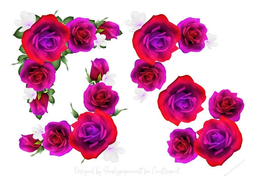 Rose Vignette Step by Step 9