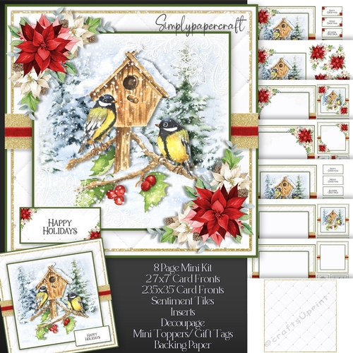 Bird House in the Snow Mini Kit