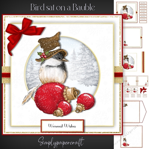 Bird sat on a Bauble