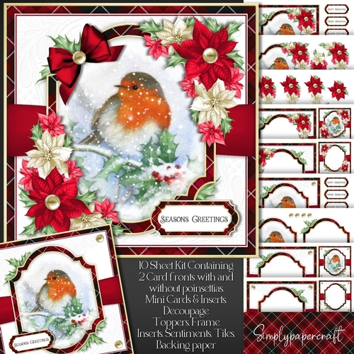Tartan Christmas Robin Mini Kit 3
