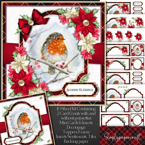 Tartan Christmas Robin Mini Kit 4
