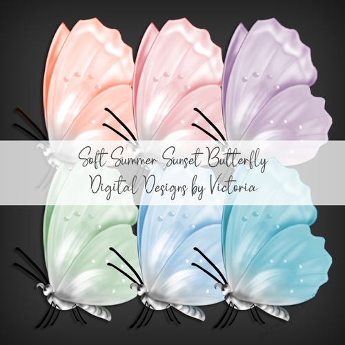 Soft Summer Sunset Butterfly