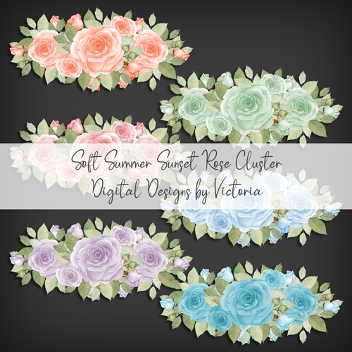 Soft Summer Sunset Rose Cluster