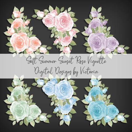 Soft Summer Sunset Rose Vignette