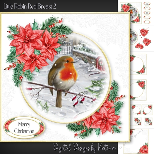 Little Robin Red Breast 2