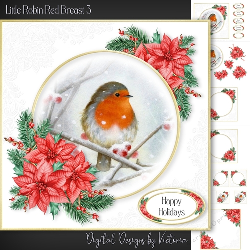 Little Robin Red Breast 3