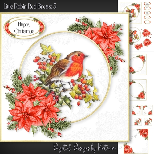 Little Robin Red Breast 5