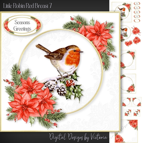 Little Robin Red Breast 7